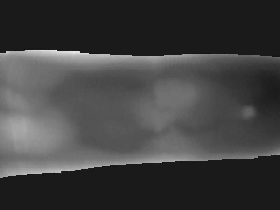 Background replaced with uniform grey (SDUMLA-HMT)