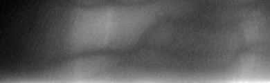 THU-FVFDT