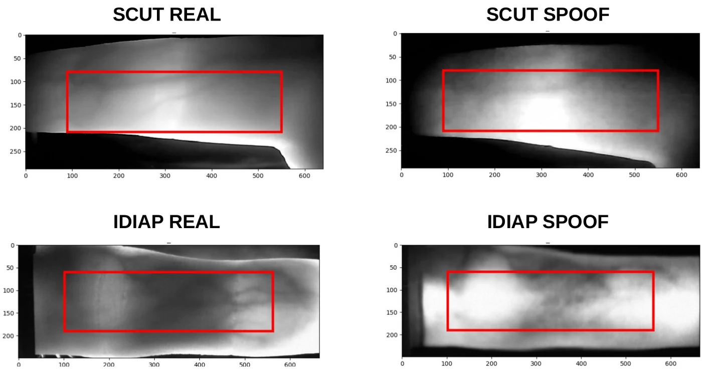 Samples from both datasets. The red box marks the region used for residual extraction.