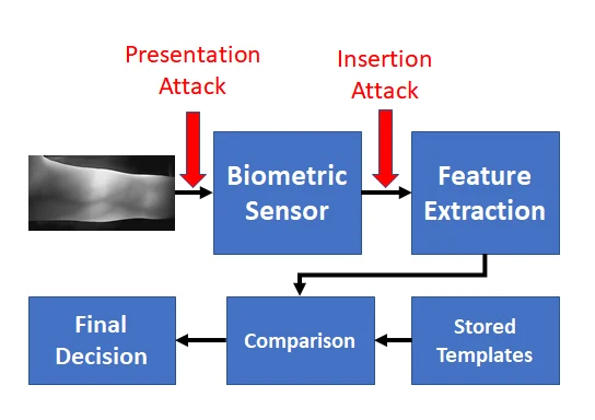 Where an insertion attack and a presentation attack enter a biometric system, the two points this whole line of work is aimed at